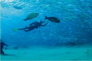 cabo-pulmo-adventure