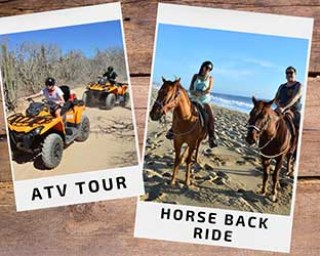 atv-horses
