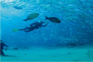 cabo-pulmo-adventure