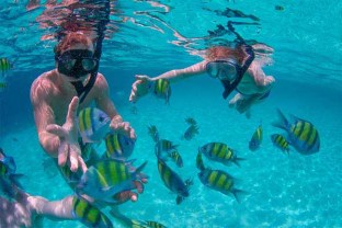 cabo-pulmo-snorkeling