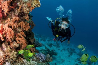 scuba-certified7